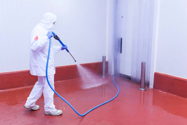 Best Rust Removal  in Lake Linden, MI