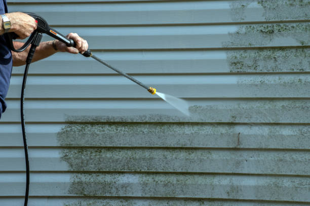 Best Driveway Pressure Washing  in Lake Linden, MI